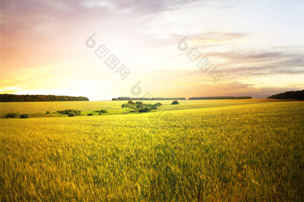 精美夏天风景