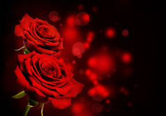 红玫瑰情人节背景