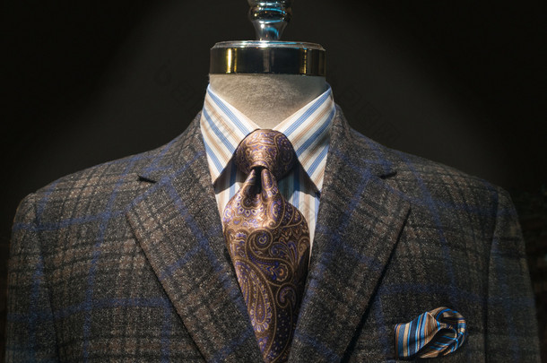 方格的夹克与条纹的衬衫和领带 (水平)