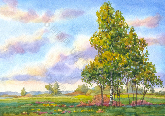 水彩风景晚上字段中的树