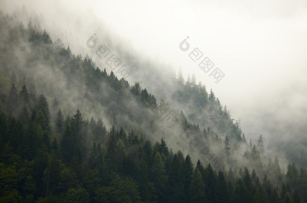 林雾