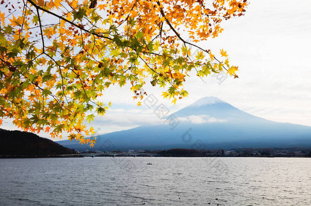 富士山的秋叶