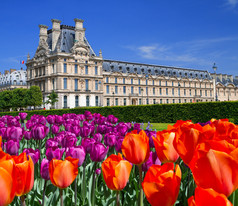 宫殿在卢森堡花园，巴黎，法国