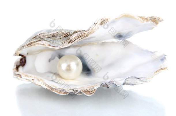 打开牡蛎与珍珠隔离上白