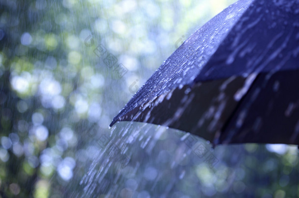 雨伞雨伞