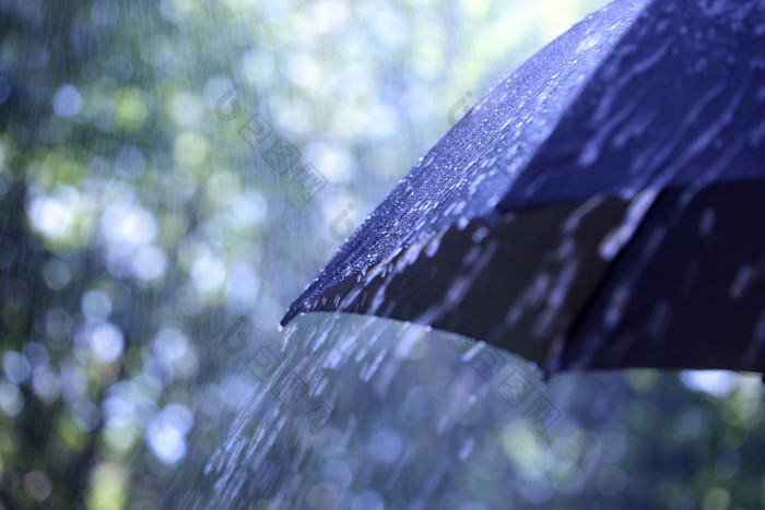 雨伞雨伞