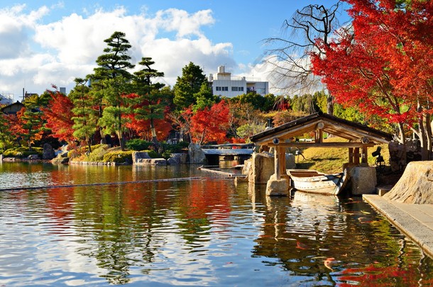 秋天树叶在名古屋日本