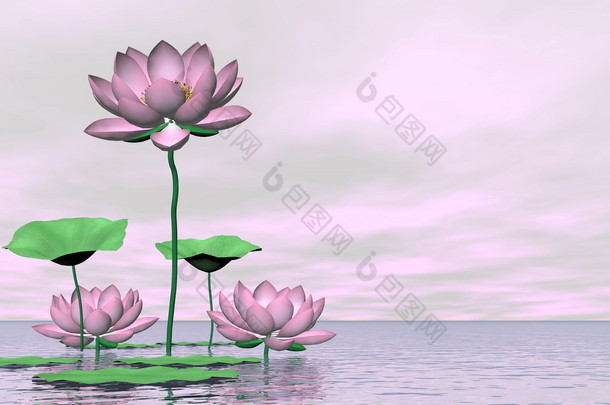 粉红色开和莲花花-3d 呈现