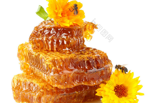 甜蜂窝状，与蜂蜜、 蜜蜂和花朵，孤立在白色