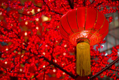 中国新年灯饰挂在树木上的详细信息
