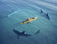 鲨鱼的攻击一艘船