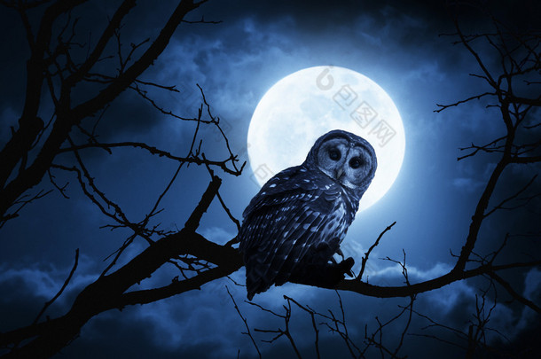 猫头鹰钟表在万圣节前夜目不转睛地照亮在月圆之夜