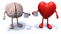 人类的大脑和心脏的胳膊和腿和杯咖啡