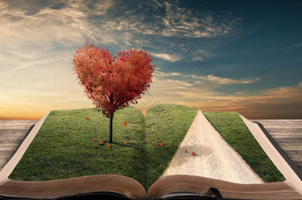 心树和书