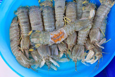 螳螂虾 (小龙虾) 新鲜的海鲜市场