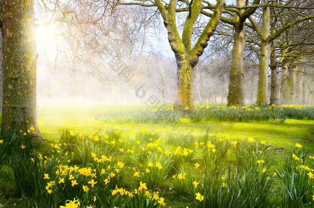 艺术的春天的花朵在公园里;复活节<strong>景观</strong>