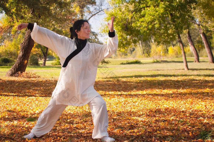 在公园里打太极的女人 太极拳