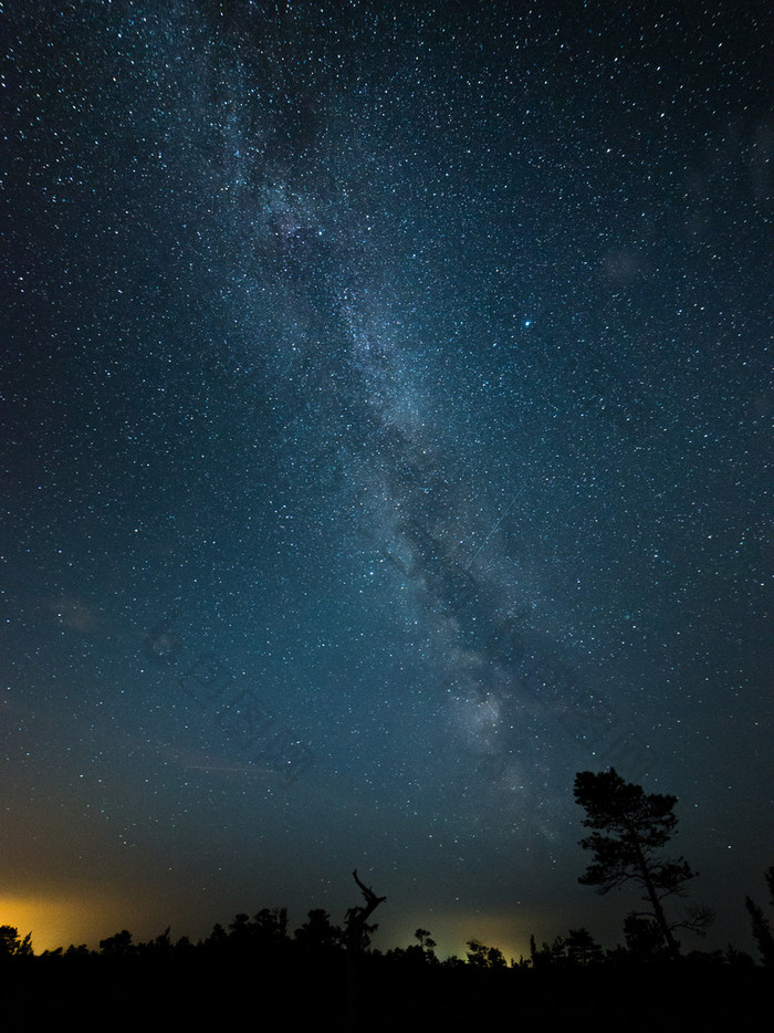 美丽的银河系，夜晚的天空上的树的剪影夜晚天空