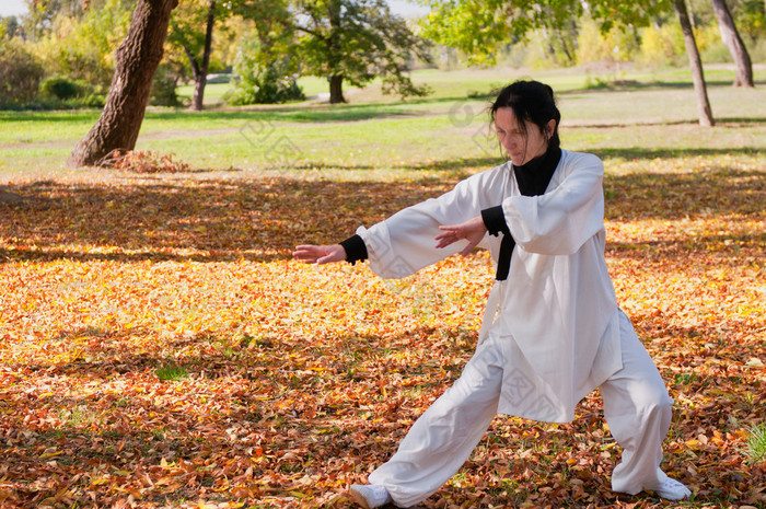 在公园里打太极的女人 太极拳