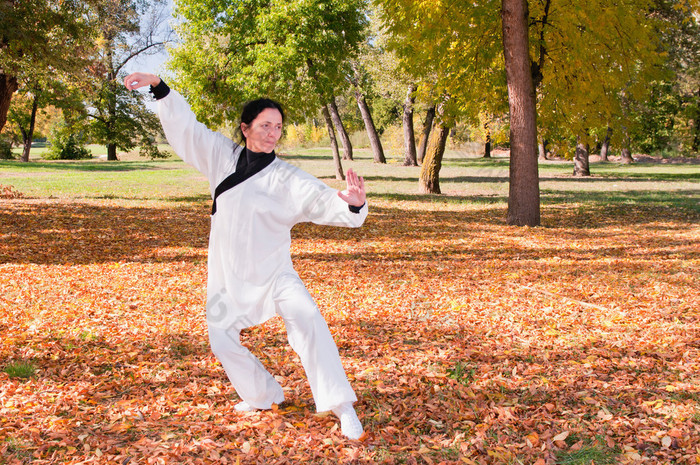 在公园里打太极的女人 太极拳