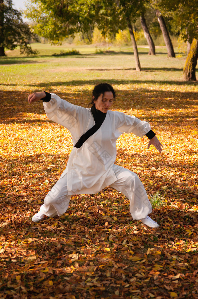在公园里打太极的女人