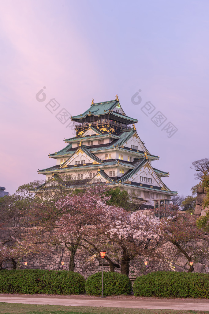 Osaka castle with cherry blossom. 