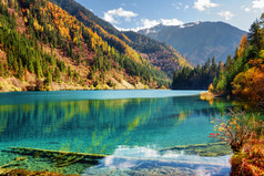 秋林间箭竹湖的壮丽景色