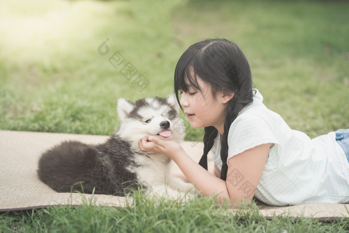 美丽的亚洲女孩和西伯利亚哈士奇犬小狗一起玩 