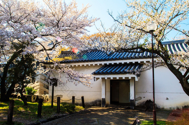 nagahama slott