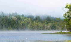 夏晨雾雾从湖上升入凉爽的空气.