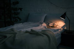 卧室内部, 在空床上有书和眼镜, 晚上在黑色床头柜上放在植物和灯上