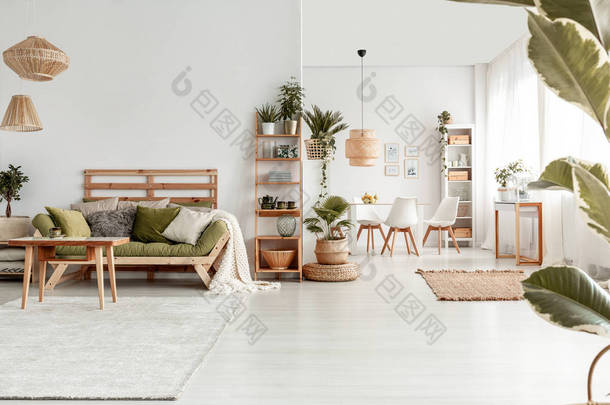 木桌在绿色沙发前面在白色宽敞的平的内部与植物、地毯和灯。真实照片