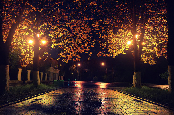 秋天的夜公园