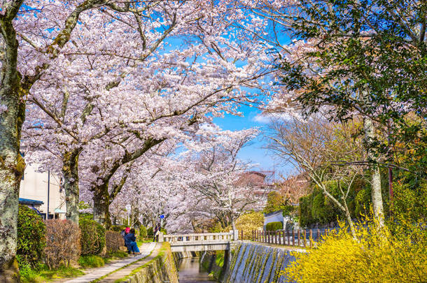 在春天，日本京都.