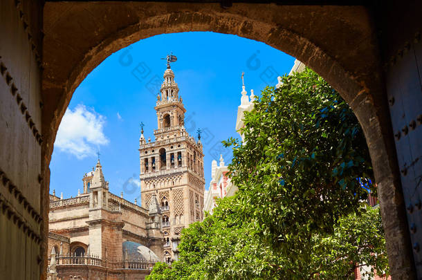 塞维利亚大教堂 Giralda 塔从阿尔卡扎