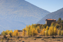 西部地区的四川省康定市藏族自治州甘孜省中国新都桥，位于川藏线 318 国道