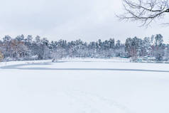 冬季公园内有冰冻湖泊和白雪覆盖的树木的美丽风景