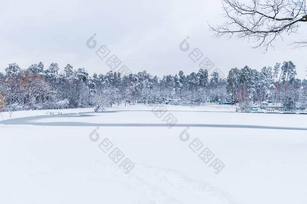 冬季公园内有冰冻湖泊和白雪覆盖的树木的美丽风景