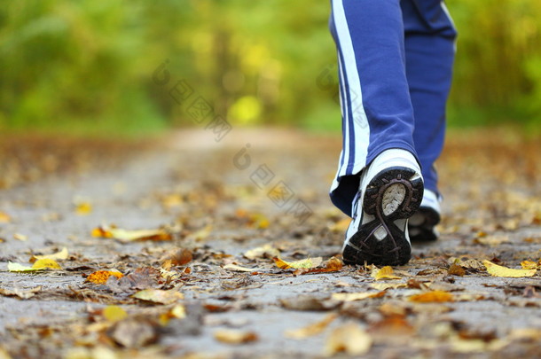 交叉郊游径在秋天的森林<strong>中</strong>散步的女人