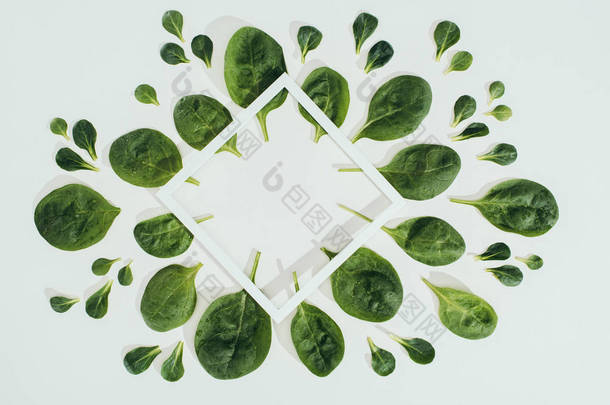 美丽的鲜绿色菠菜叶子和白色菱形框架与拷贝空间的灰色的顶部看法