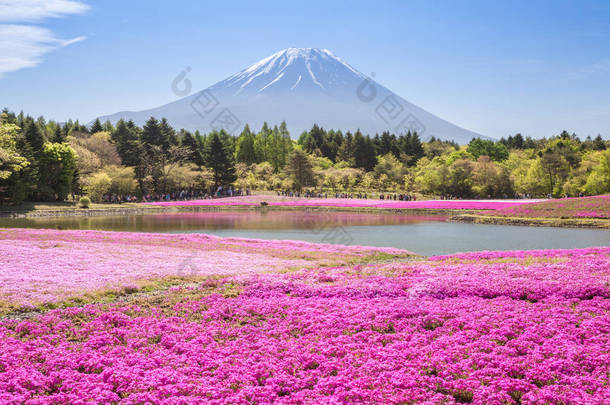 <strong>山</strong>富士风景