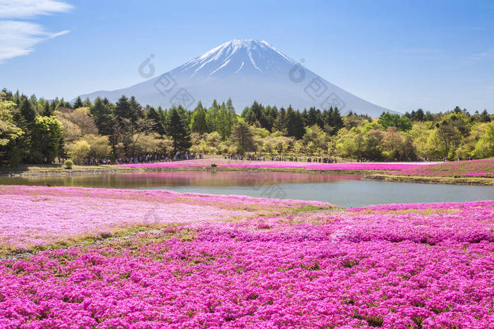 山富士风景