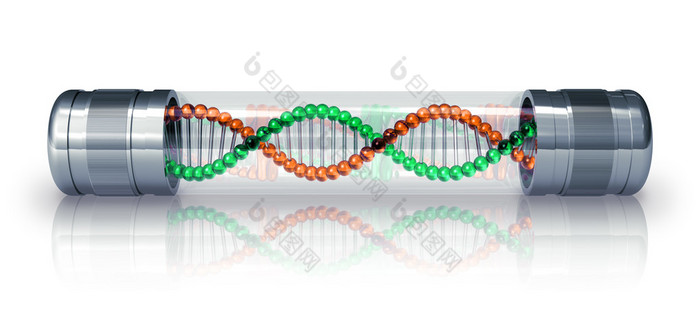 dna 分子在密封容器中