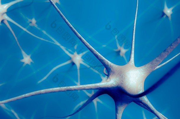 神经元在<strong>大脑</strong>中，神经网络的三维图.