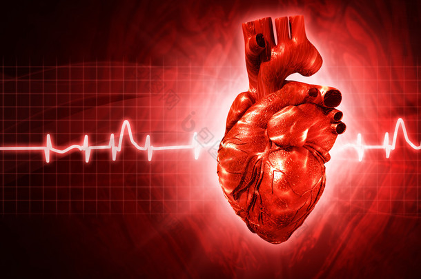 与人类 3d 呈现心脏心电图抽象背景