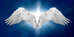 天使的翅膀 2