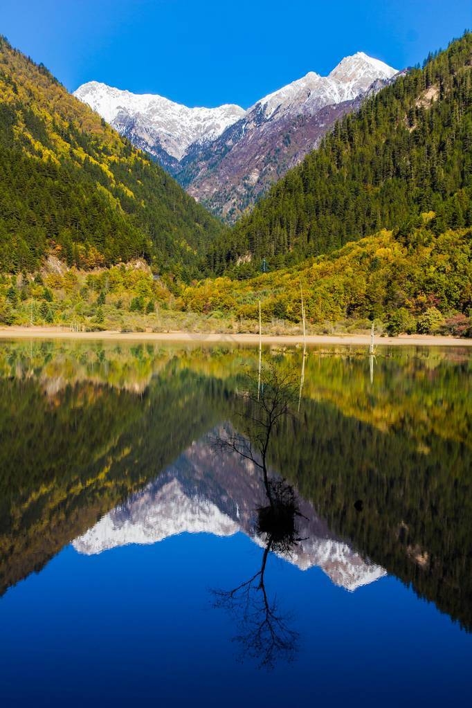 在九寨沟风景区镜子湖