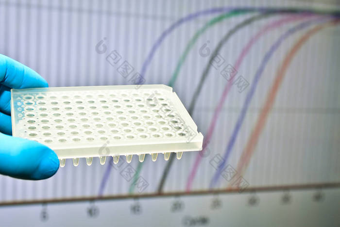 Dna 检测实时 Pcr 法.