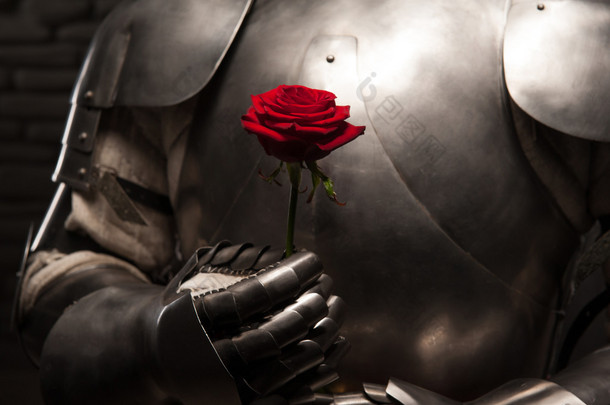 在举着红玫瑰的盔甲的骑士