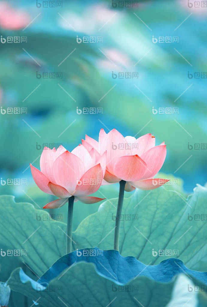 山水花卉圖 A040134-水墨山水-花开富贵- 壁画_米亚壁画_精品壁画-中国壁画网